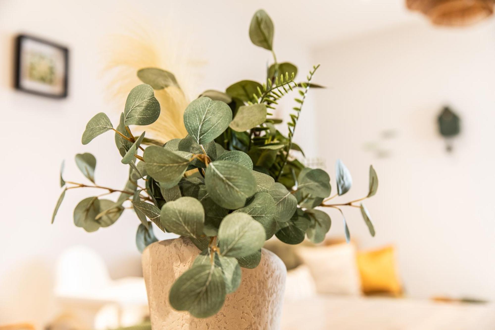 Apartmán Colmar Centre - Le Schickele Exteriér fotografie